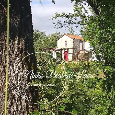 Ninho Bico-de-Lacre ~ o paraíso é a/na Terra Balocas Esterno foto