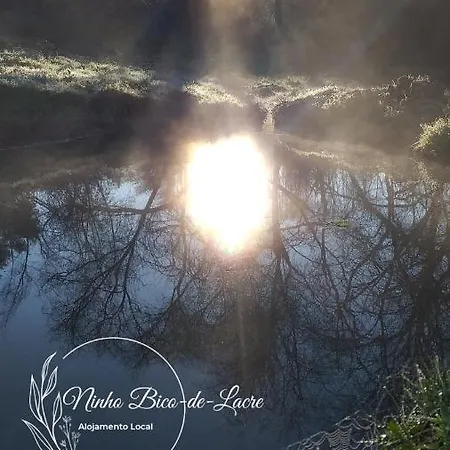 Ninho Bico-de-Lacre ~ o paraíso é a/na Terra Balocas Esterno foto