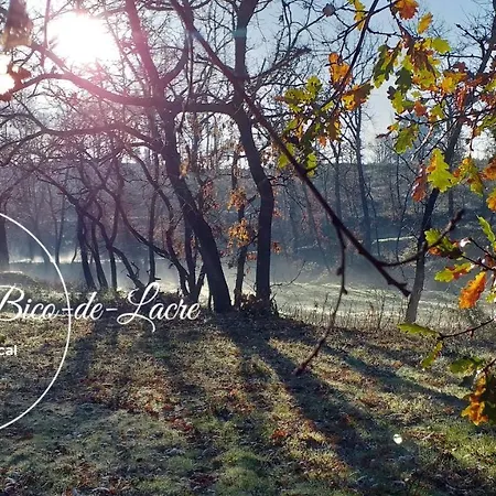 Ninho Bico-de-Lacre ~ o paraíso é a/na Terra Balocas Esterno foto