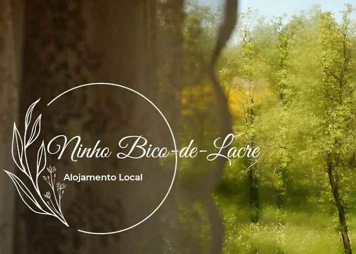 Ninho Bico-De-Lacre ~ O Paraiso E A/Na Terra