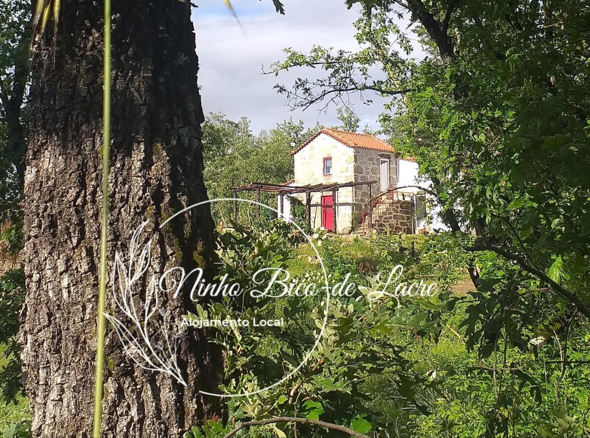 Holiday home Ninho Bico-de-lacre ~ O Paraiso E A/na Terra *