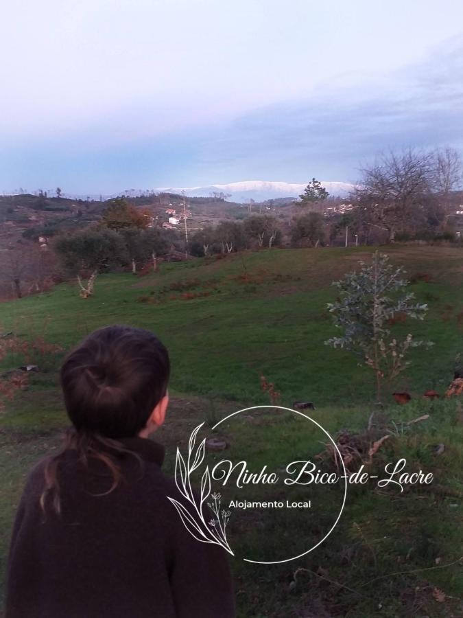 Holiday home Ninho Bico-de-lacre ~ O Paraiso E A/na Terra Balocas
