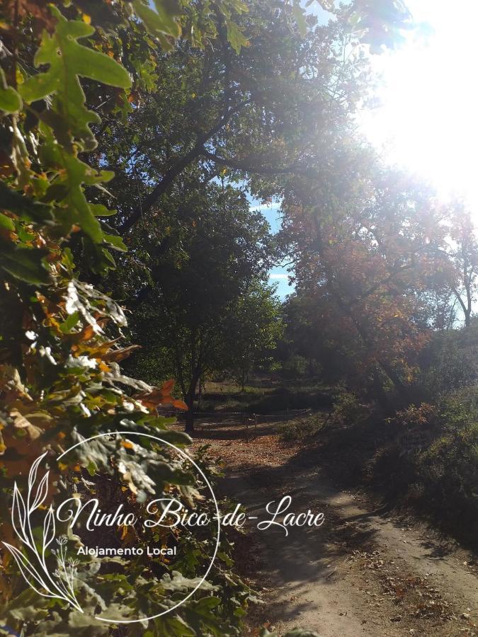 Ninho Bico-de-lacre ~ O Paraiso E A/na Terra Holiday home *