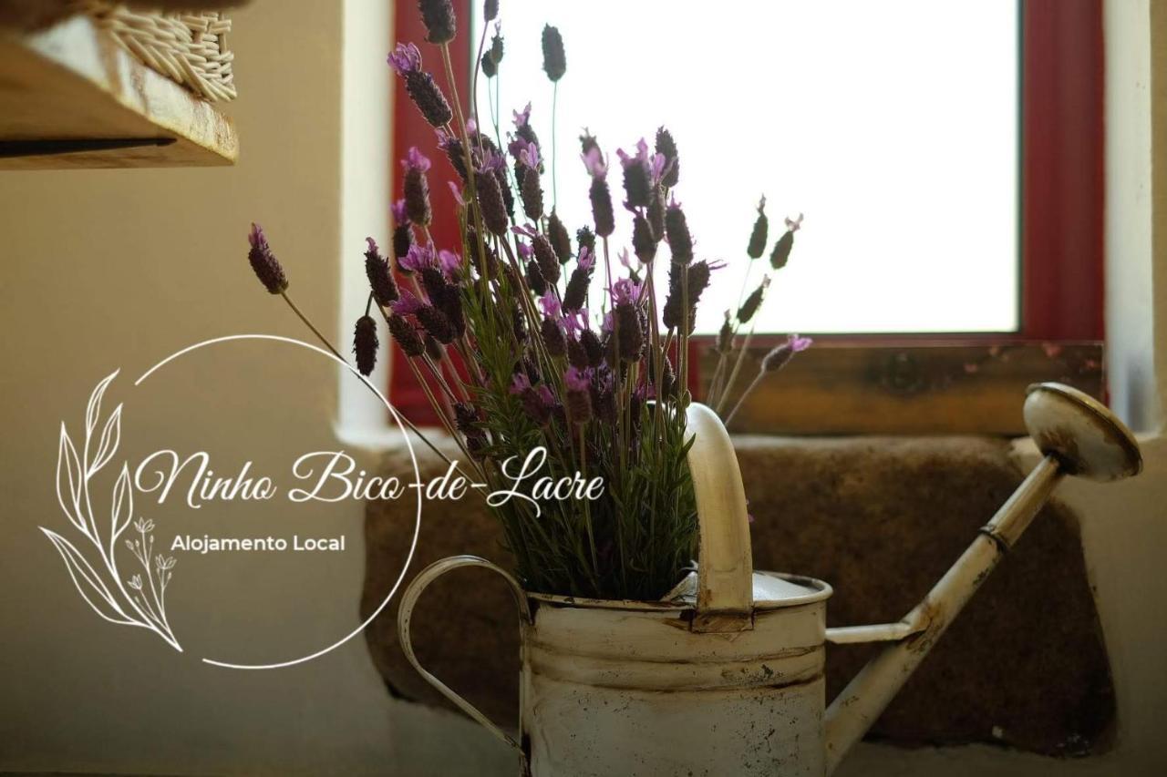 Ninho Bico-de-lacre ~ O Paraiso E A/na Terra Holiday home Balocas