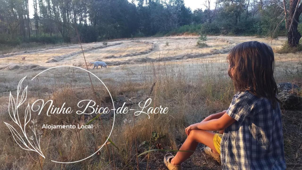 Holiday home Ninho Bico-de-lacre ~ O Paraiso E A/na Terra *