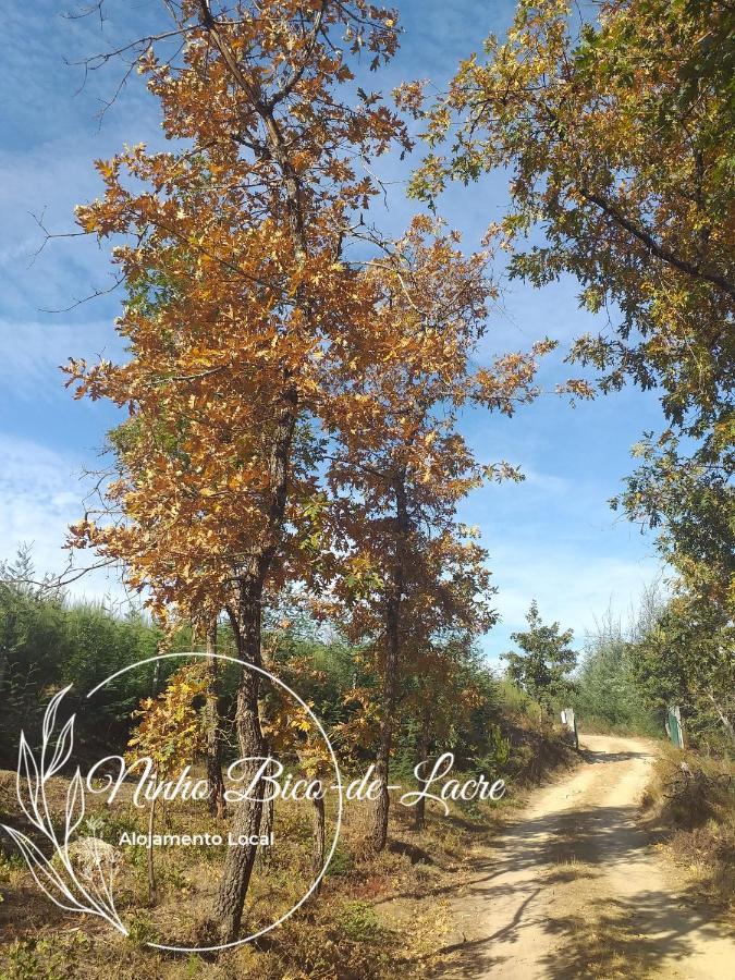 Ninho Bico-de-lacre ~ O Paraiso E A/na Terra Holiday home Balocas